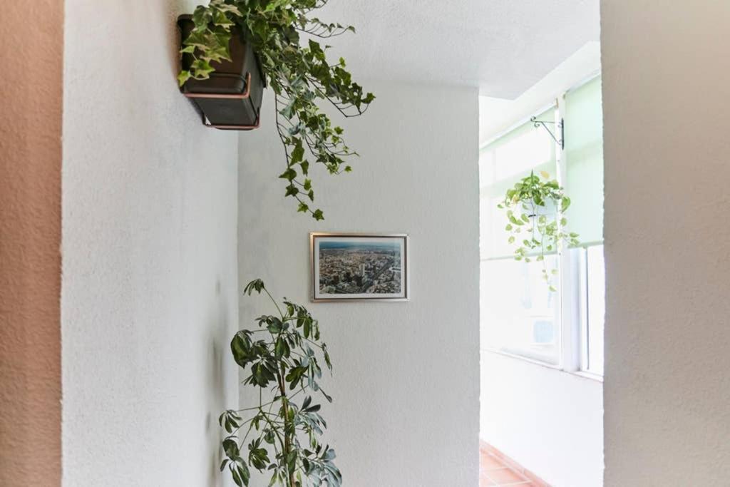 Appartement Original Y Coqueto Apartamento Junto A Plaza Mayor à Madrid Extérieur photo